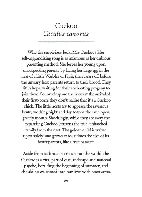 Our Garden Birds: a stunning illustrated guide to the birdlife of the British Isles - Retail Maharaj