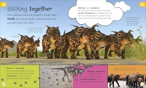 My Encyclopedia of Very Important Dinosaurs: For Little Dinosaur Lovers Who Want to Know Everything