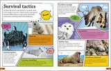 DKFindout! Arctic and Antarctic