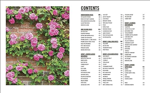 Grow Roses: Essential Know-how and Expert Advice for Gardening Success