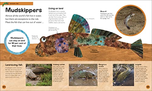 The Very Hungry Caterpillar's Very First Animal Encyclopedia: An Introduction to Animals, For VERY Hungry Young Minds (The Very Hungry Caterpillar Encyclopedias)