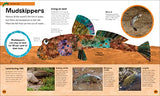 The Very Hungry Caterpillar's Very First Animal Encyclopedia: An Introduction to Animals, For VERY Hungry Young Minds (The Very Hungry Caterpillar Encyclopedias)