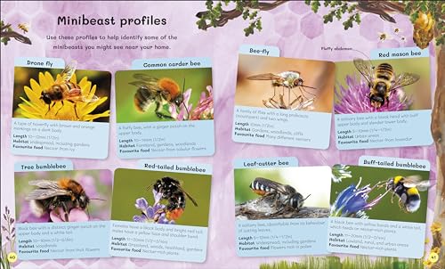 The Children's Book of Wildlife Watching: Tips for Spotting Nature Outdoors