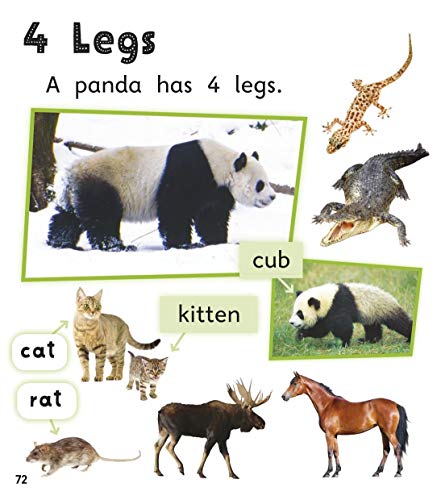 Read With Oxford: Non-Fiction: Stage 1: Animals And Us - Retail Maharaj