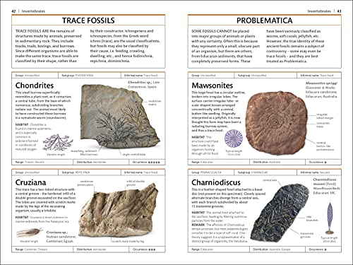 Fossils (DK Handbooks)