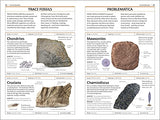 Fossils (DK Handbooks)