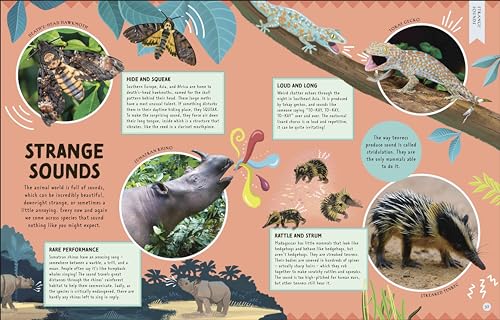 Odd Animals Out (Wonders of Wildlife)