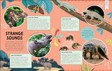 Odd Animals Out (Wonders of Wildlife)