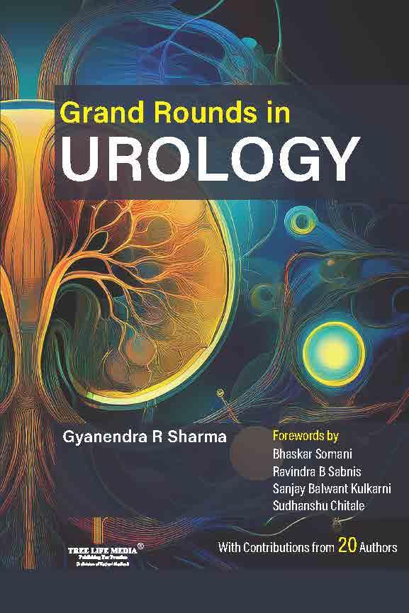 Grand Rounds in Urology (Paperback)