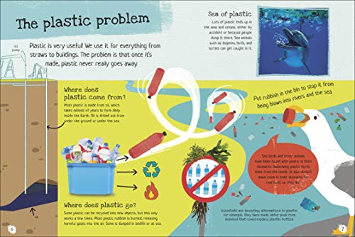 Recycle and Remake: Creative Projects for Eco Kids (Dk)