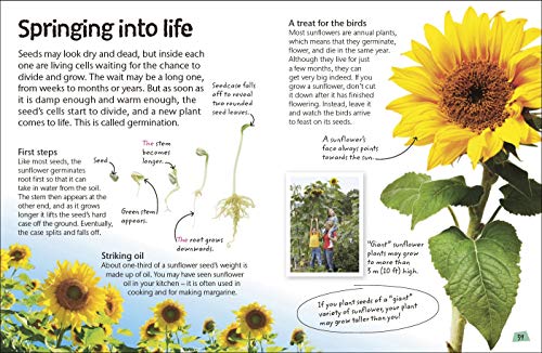 Flowers: Explore Nature with Fun Facts and Activities (Nature Explorers)