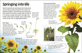 Flowers: Explore Nature with Fun Facts and Activities (Nature Explorers)