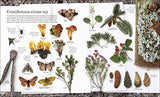 Chris Packham's Nature Handbook: Explore the Wonders of the Natural World