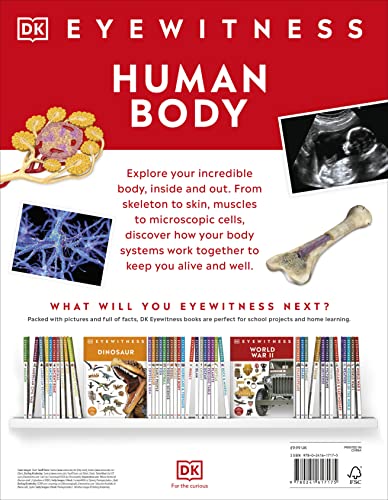 Human Body - Retail Maharaj
