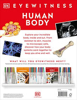 Human Body - Retail Maharaj