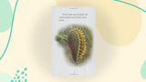 SIR: Hungry Plants - Retail Maharaj