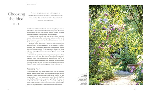 RHS Roses: An Inspirational Guide to Choosing and Growing the Best Roses