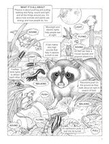 My First Book about Physics