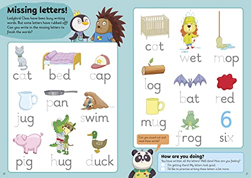 Letters: A Learn with Ladybird Wipe-Clean Activity Book 3-5 years: Ideal for home learning (EYFS)