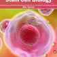 Stem Cell Biology