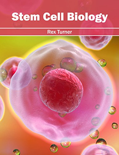 Stem Cell Biology