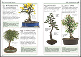 101 Essential Tips Bonsai - Retail Maharaj