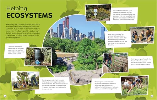 DK Super Planet Essential Ecosystems