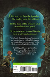 Fairy Tales Of Ireland - Retail Maharaj