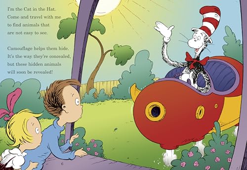 High? Low? Where Did It Go? : All About Animal Camouflage