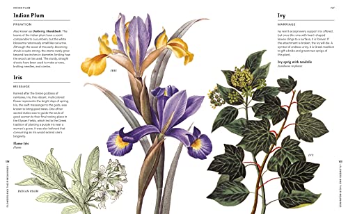 Flowers and Their Meanings: The Secret Language and History of Over 600 Blooms (A Flower Dictionary) - Retail Maharaj