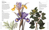 Flowers and Their Meanings: The Secret Language and History of Over 600 Blooms (A Flower Dictionary) - Retail Maharaj
