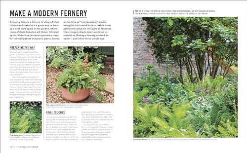 Grow Shade Garden: Essential Know-how and Expert Advice for Gardening Success
