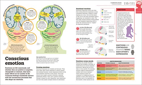 How the Brain Works: The Facts Visually Explained (How Things Work)