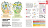How the Brain Works: The Facts Visually Explained (How Things Work)