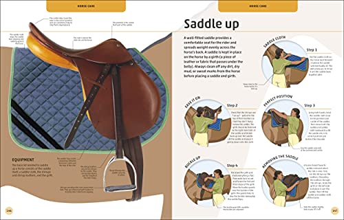 Horses & Ponies: Everything You Need to Know, From Bridles and Breeds to Jodhpurs and Jumping! - Retail Maharaj