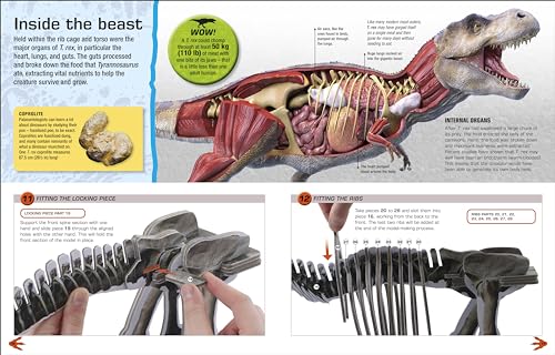 Make Your Own T. Rex: Easy to Build - No Glue, No Mess!