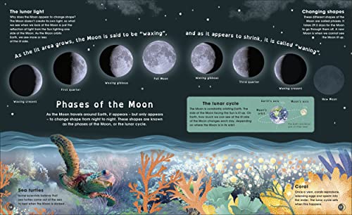 The Moon: Discover the Mysteries of Earth's Closest Neighbour (Space Explorers)