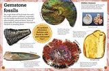 My Book of Fossils