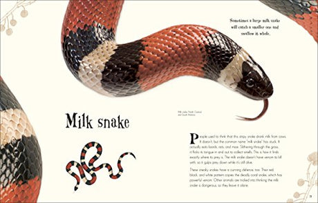 An Anthology of Intriguing Animals - Retail Maharaj