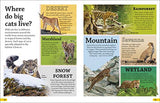 DKfindout! Big Cats
