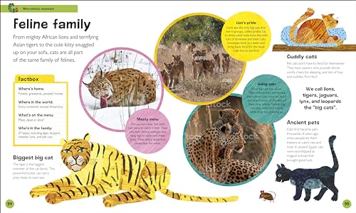 The Very Hungry Caterpillar's Very First Animal Encyclopedia: An Introduction to Animals, For VERY Hungry Young Minds (The Very Hungry Caterpillar Encyclopedias)