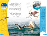 DK Super Readers Level 4 Shark Apex Predator (Arabic translation)