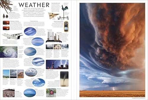 Eyewitness Encyclopedia Poster Book: More Than 30 Reversible Tear-Out Posters (DK Eyewitness)
