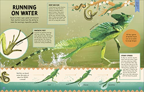 How Not to Get Eaten: More than 75 Incredible Animal Defenses (Wonders of Wildlife)