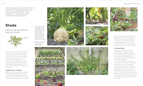 RHS Grow Food Anywhere: How to Plant the Right Crops in the Right Place and Help Your Garden Thrive