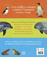 What's the Difference? Animals: Spot the difference in the animal kingdom!