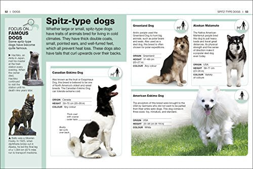 Pocket Eyewitness Dogs - Retail Maharaj