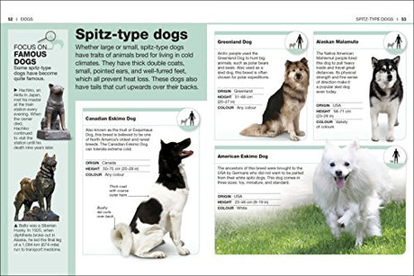 Pocket Eyewitness Dogs - Retail Maharaj