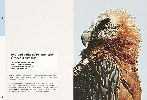 Ben Rothery's Weird and Wonderful Animals