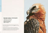 Ben Rothery's Weird and Wonderful Animals